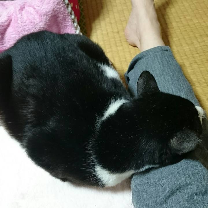 D226ddcd 6020 4de5 b013 f90390d276e3