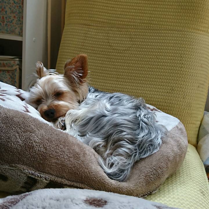 D22807a0 bc41 4929 a1ff b1114a231af3