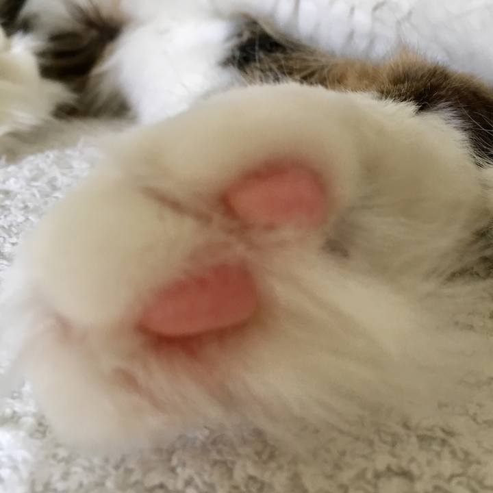 D228b365 cbc8 4252 ad3a 2b3c6b850ee4