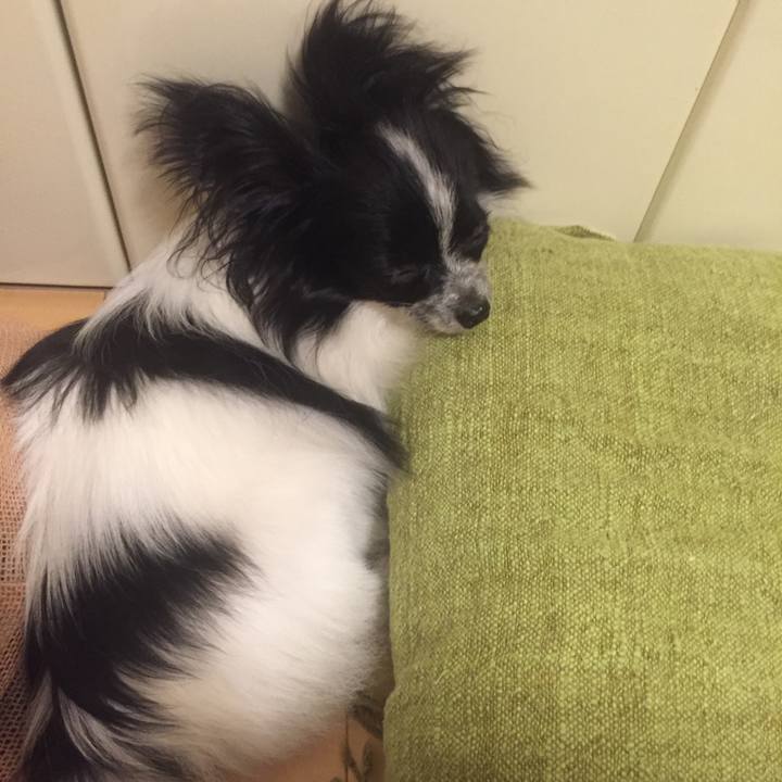 D228ce84 6f7a 4407 8b4d 92f82daa6ef2