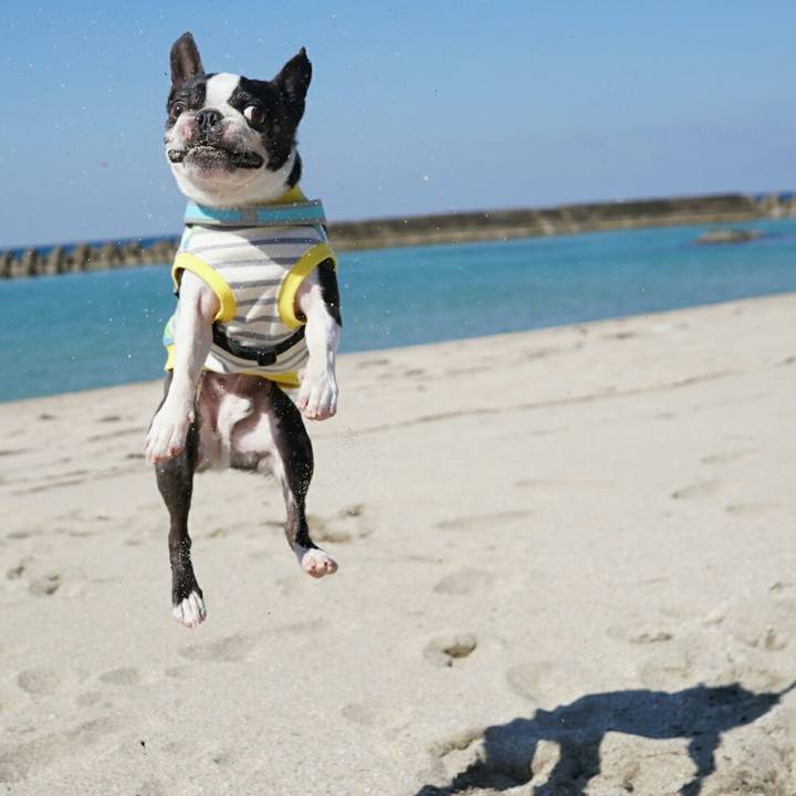 D22917c0 4b56 468c 9b61 c01c8a3fff41