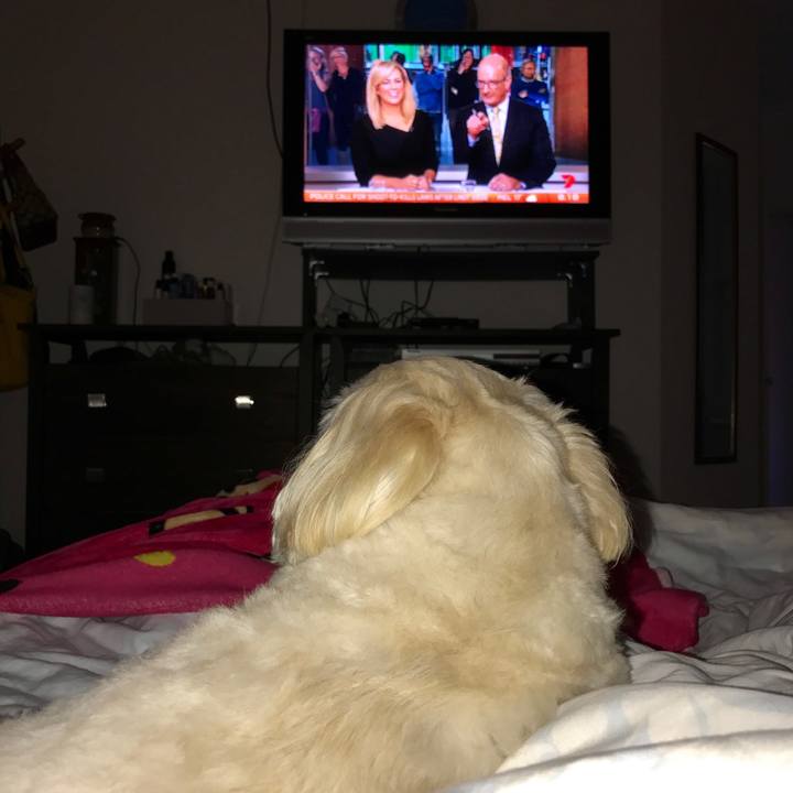 D2292a58 5281 41b8 91e6 cb0c43c0688c