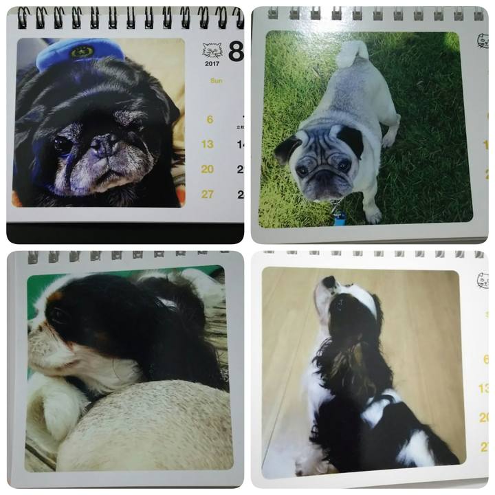 D2298501 bb3b 4fb3 8139 8e98edb01f28