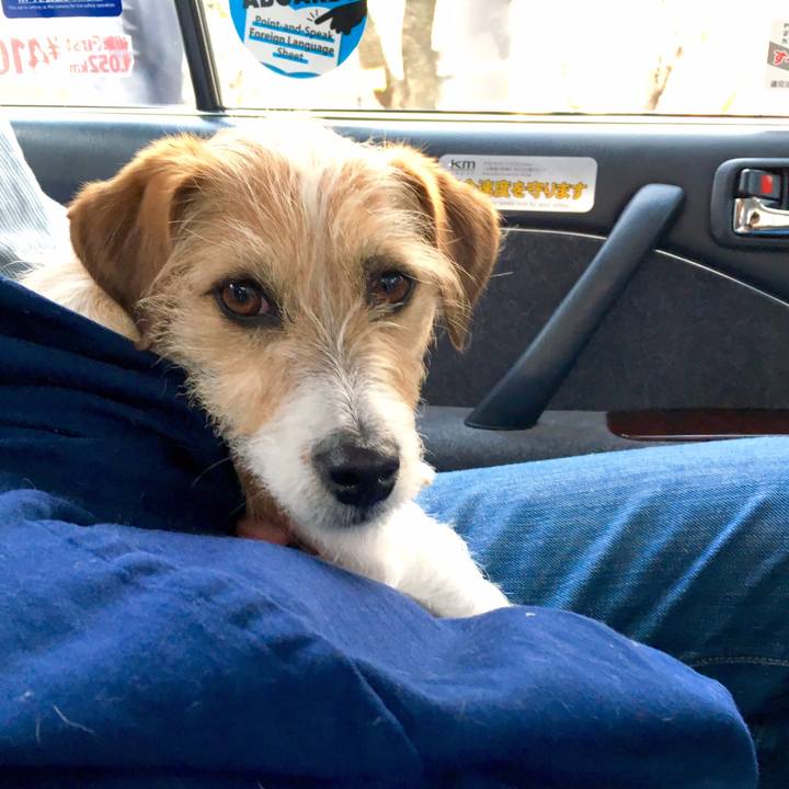 D22a4385 f200 44d6 9204 26e121a64280