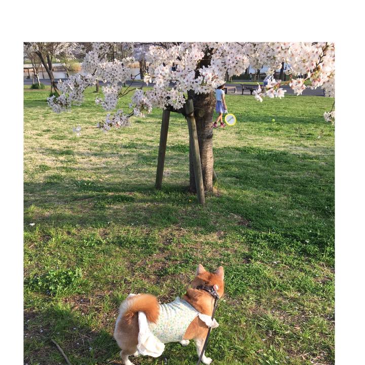 D22a4875 8cc9 45ae 883b 8b9090aa9a81