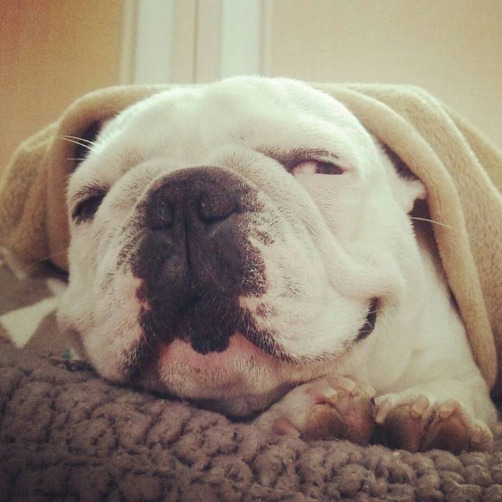 D22a5df8 302b 4001 bbea 2b0ec4cf4281