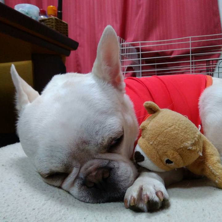 D22b2c52 ab0d 4c4e ba8c d74e0bf11b96