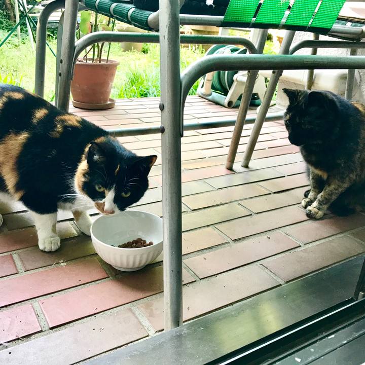 D22b9adc c0c1 496a 81b9 cfb7c7a0398b