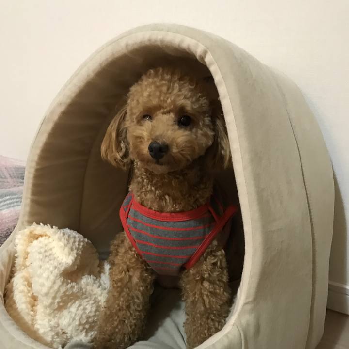 D22d55fc 58f8 4b06 9e39 1c65a8d617fb