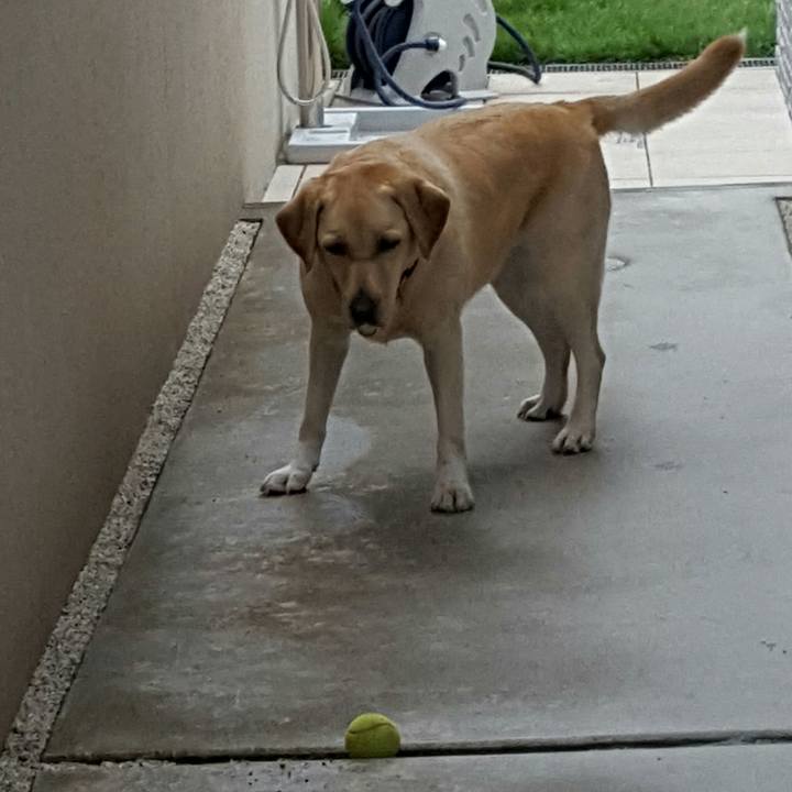 D22d576d a3db 4c12 ad14 ec699a4f9393