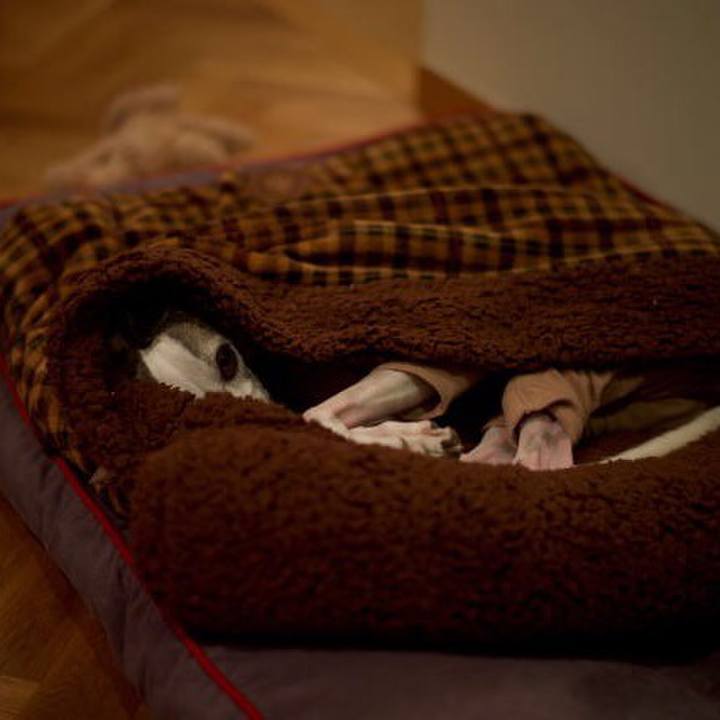 D22df61a 7140 4daa b788 3846aa60db6a