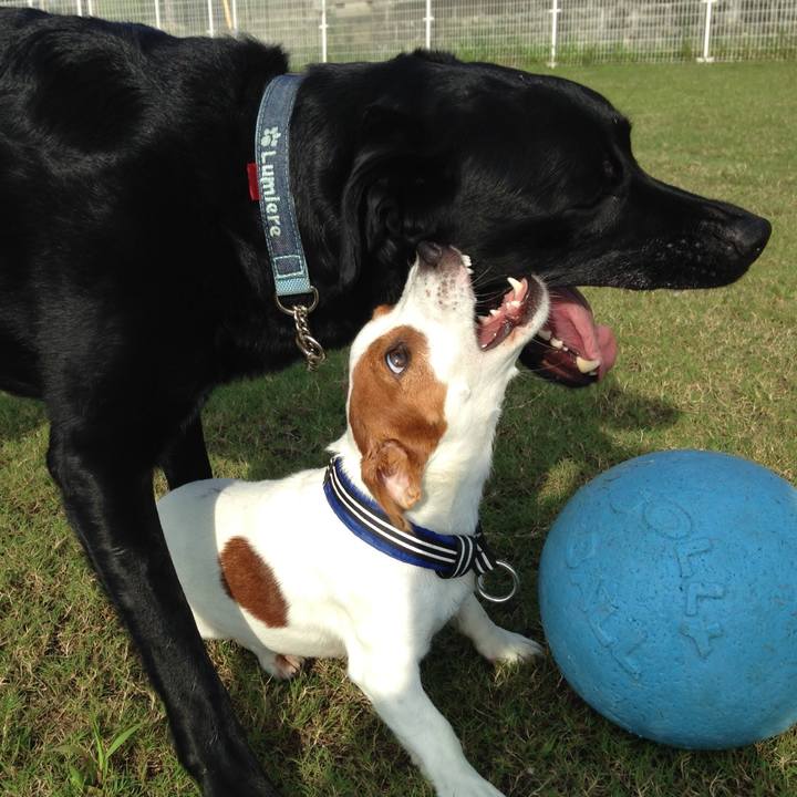 D22e0f80 eb8c 4813 b00e 61847d5b02b7