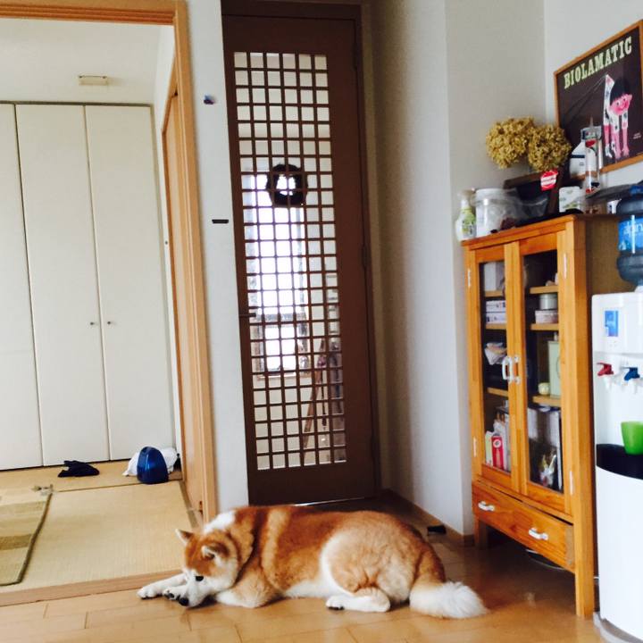 D22e6295 941c 4c54 b076 473b14428661