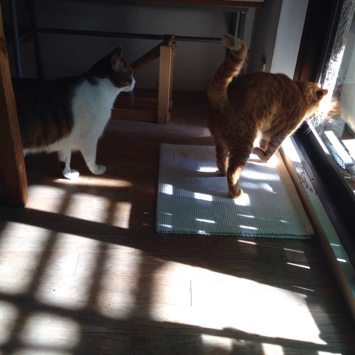 D22eda7c f53f 4fdc ba2c 8b74edebb06b