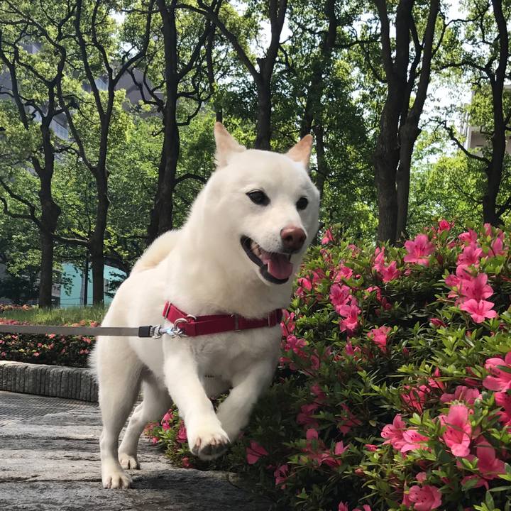 D22edeb3 46be 42ec b75c 6ad3ac3db42e