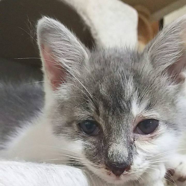 D23111e1 d385 4879 a00f d930a2291ee8