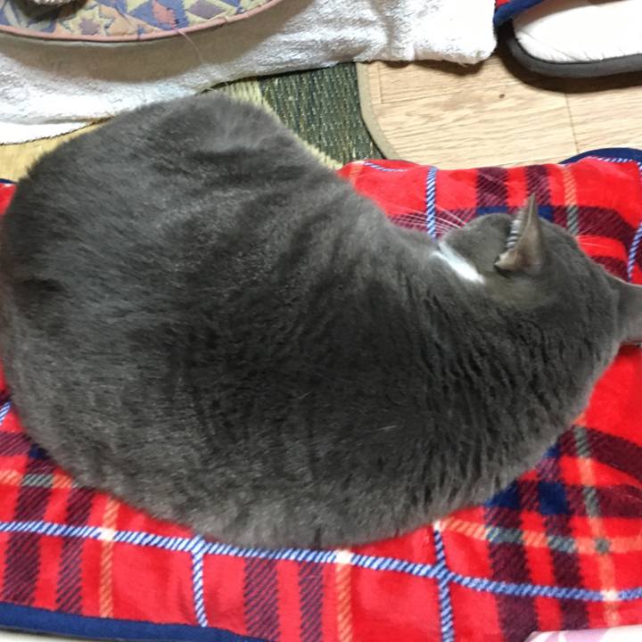 D23112a1 8762 405f 946e a6228abec19c