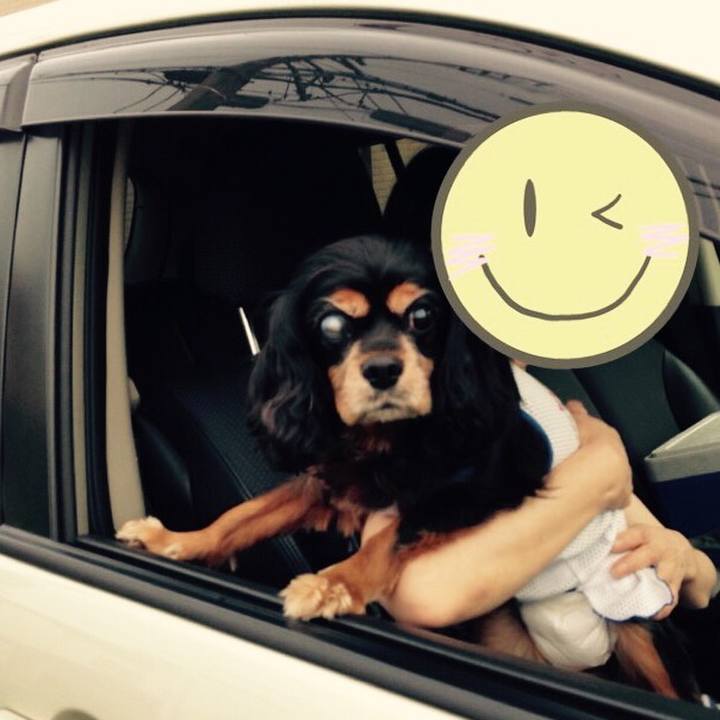 D2314d29 d5ba 4548 8276 3cff57e1a687