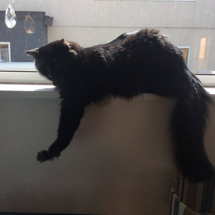 D2318d73 af57 48ae a7be 6cec5a833cdc