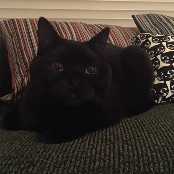 D231d6d4 5716 4bc0 9fc9 0a325c17512f