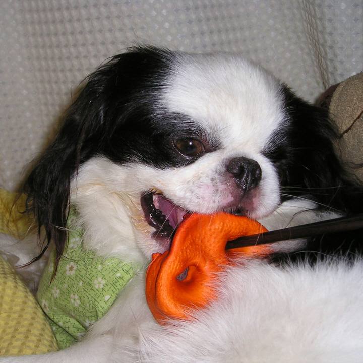 D2323e67 838b 4233 b792 e256928d4fae