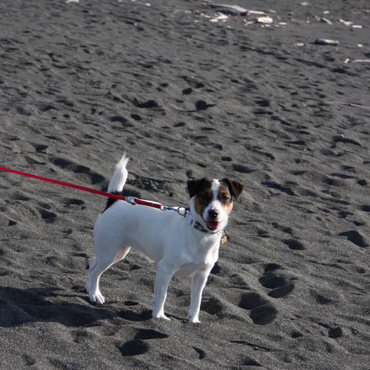 D232b3f1 5977 453d 85b4 79533862e09d