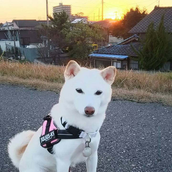 D233289f f609 4739 abb3 c2474405b837