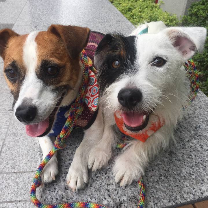 D2334c40 1c6e 4b2d b10f 375352303f23