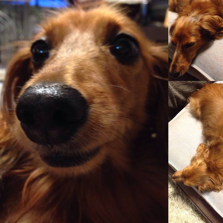 D2335118 441f 442d af68 e69b1f78addc