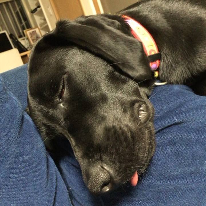 D2335ae6 95b0 488d bc76 3bc65a8bd3bc