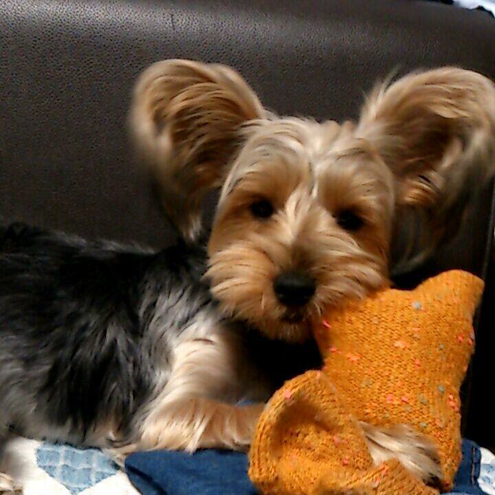 D2335b49 c401 4634 a935 c4e247076db1