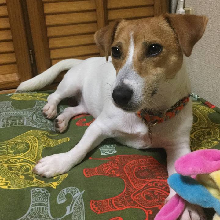 D2337f95 70eb 4fe7 bd7d 59a25e80bec3