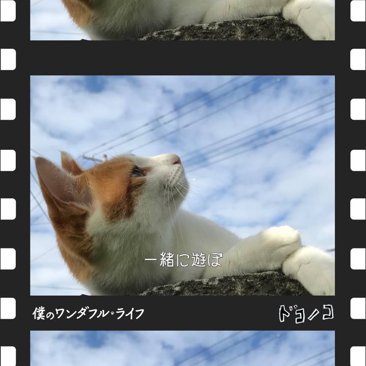 D234093e aa2a 4df7 a086 a6e67e78ffd1