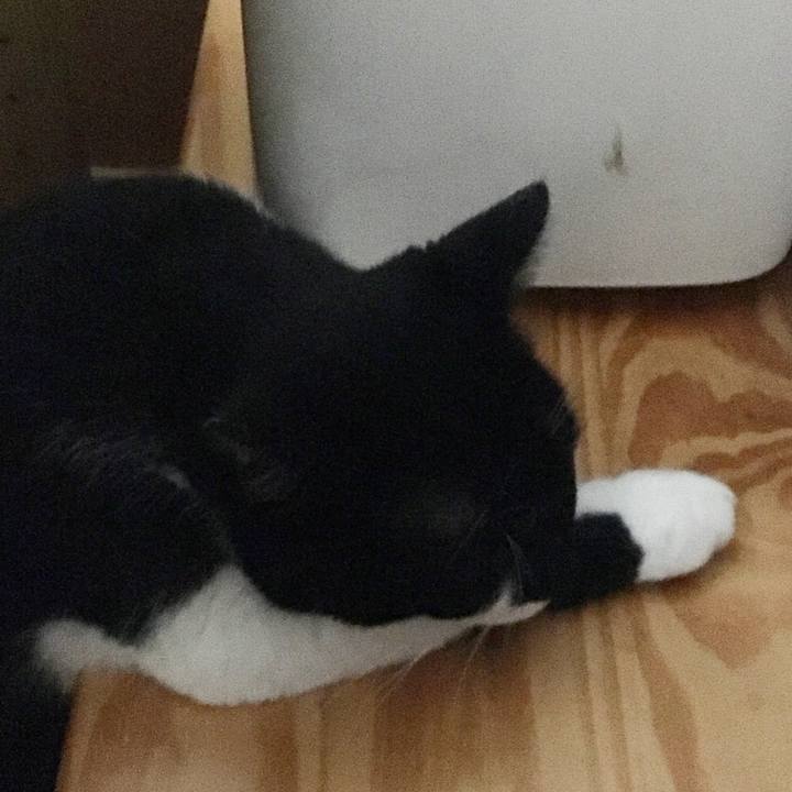 D2342cf3 df7a 49c3 a3af 13ec85f38361