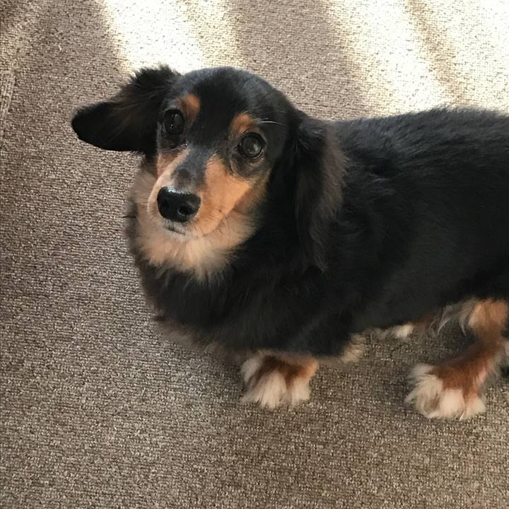 D23446a7 4d5f 4634 92e2 1293911c30d9