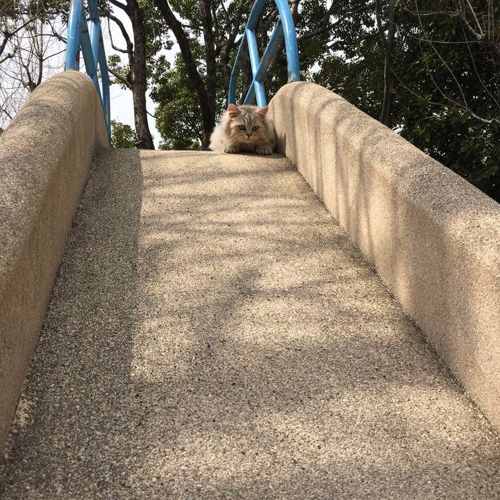 D23478a4 2b2c 44ec b4fe eb52bb56eb4c