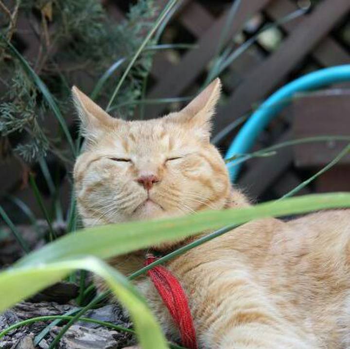 D2347f85 7251 4885 bfd3 5f6782621fed