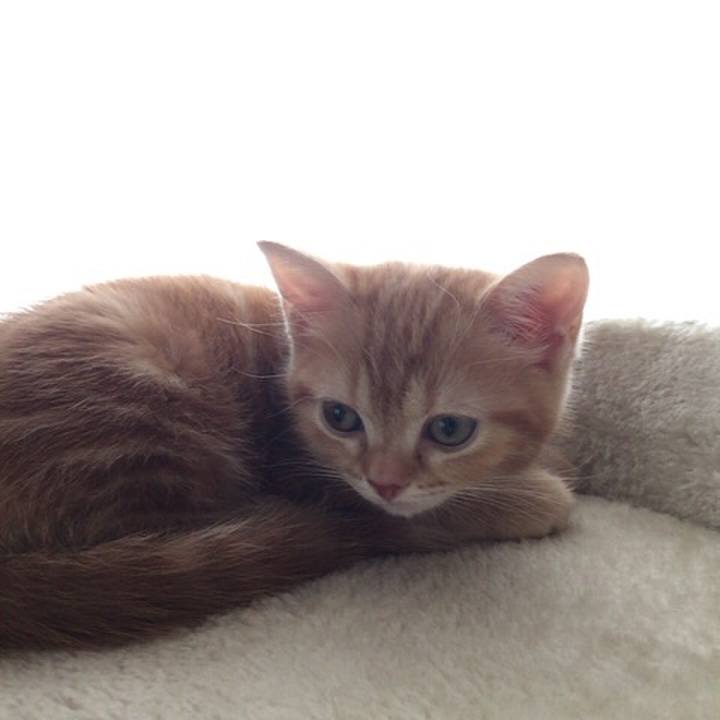 D234b627 ad2f 4efb aee3 ef3818360ea1