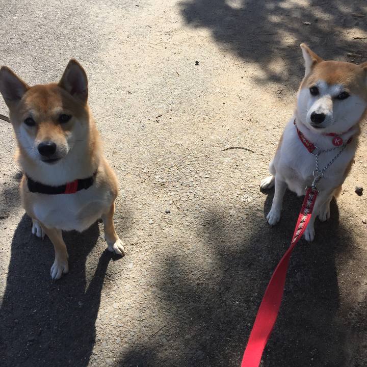 D2360173 b717 4be9 9e86 080ae2405d6d