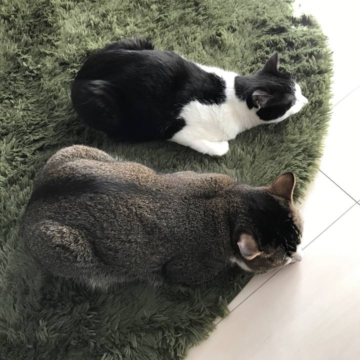 D236027d 6e23 427b b178 34fe7032e0cd