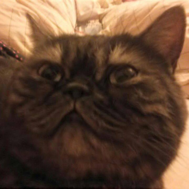 D236eada c50b 4a6f b692 2b85a111a4d2