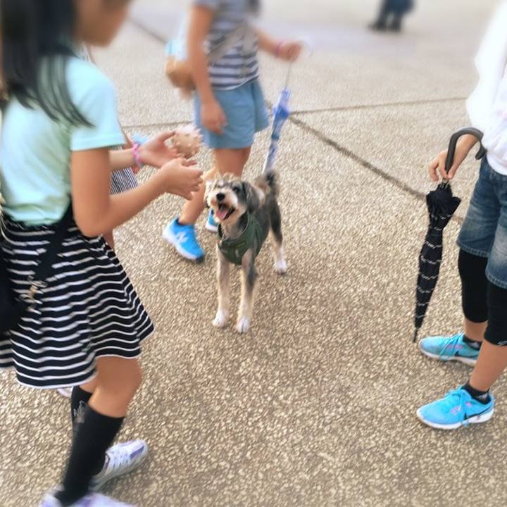 D2374165 e78a 4564 a28b 7ad9ddbec8ad