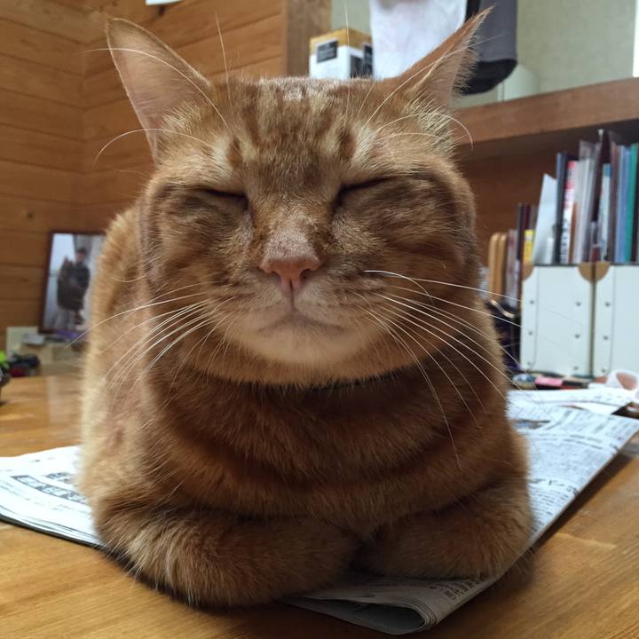 D2374539 d128 48f5 9dfa f20cc7d8bb3e