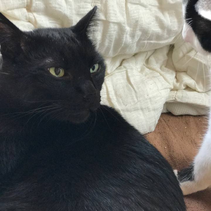 D2374f90 bc7f 4afe abc5 ae4bfdfa9b7b