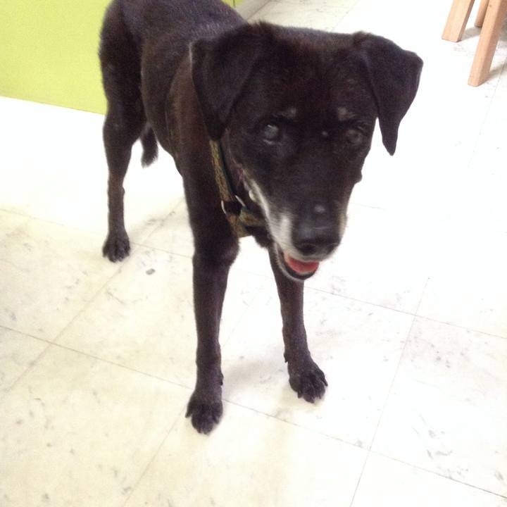 D2391ab1 6d3c 4282 a873 706fd13eda8b