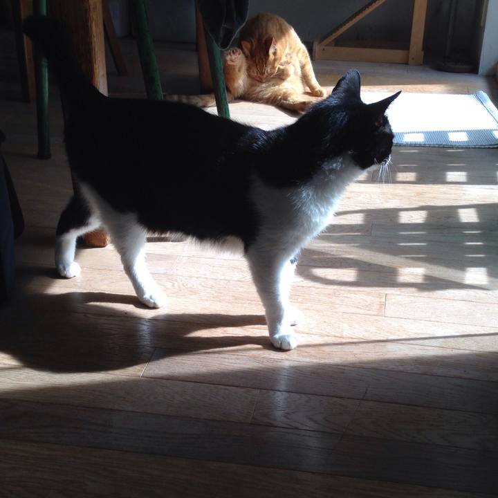 D2391f50 b8db 4fbe 8a1e 681fcc02c4f3