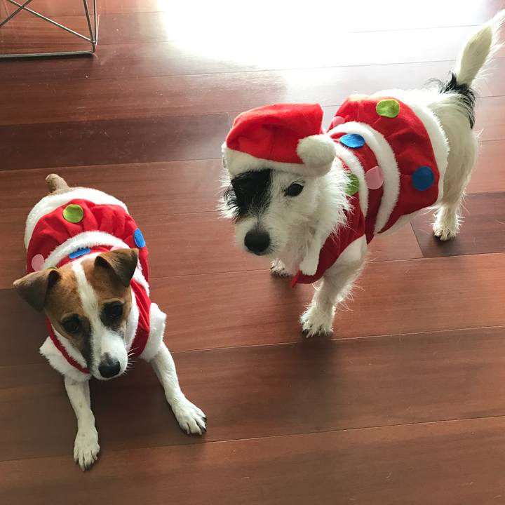 D2392f7c bc24 4c02 8627 fba8a5c1fc16