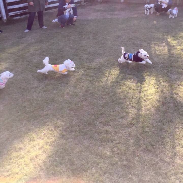 D23af46b 4cb1 429a ad4c c479e334f3bf