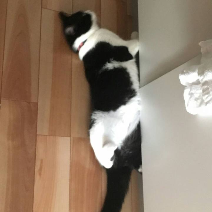 D23b3b12 281d 49e8 864e 5ea6912d5b91