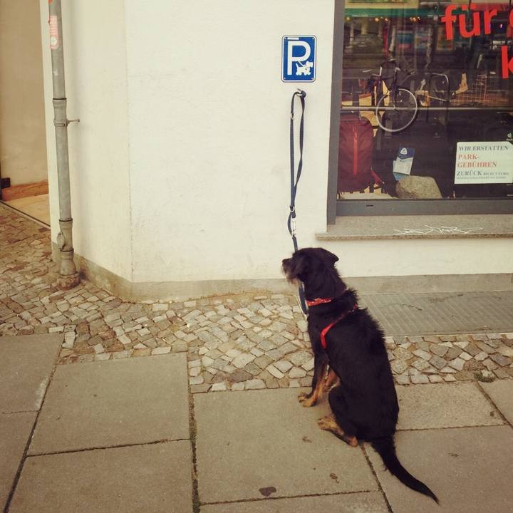 D23b8e20 a3db 44f7 af04 977e1dbc4cc9